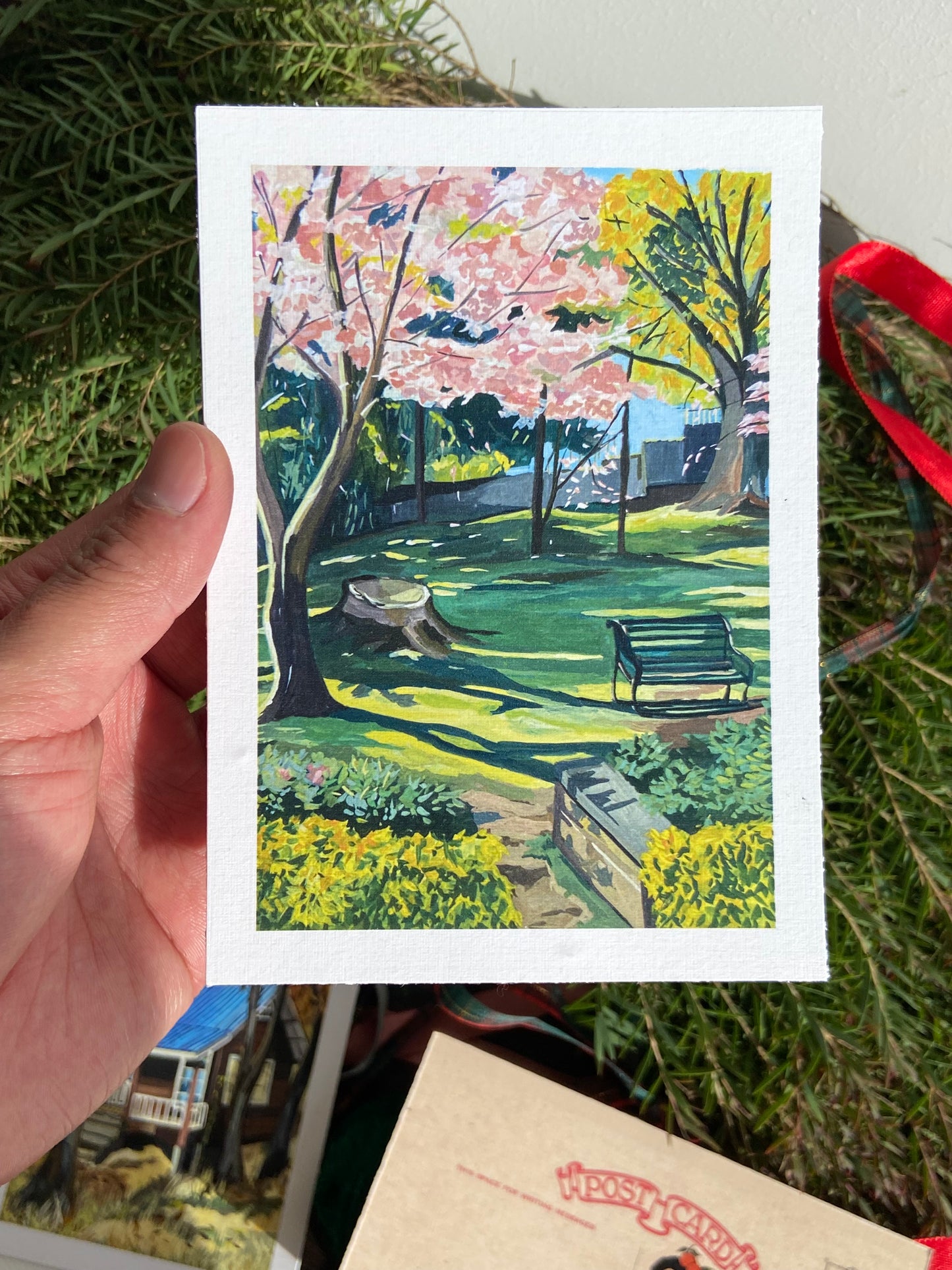 Cherry blossom, seasonal greetings postcards