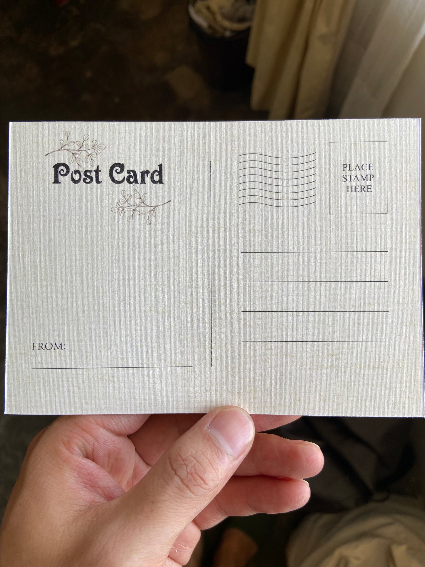 Biggie The cat postcards