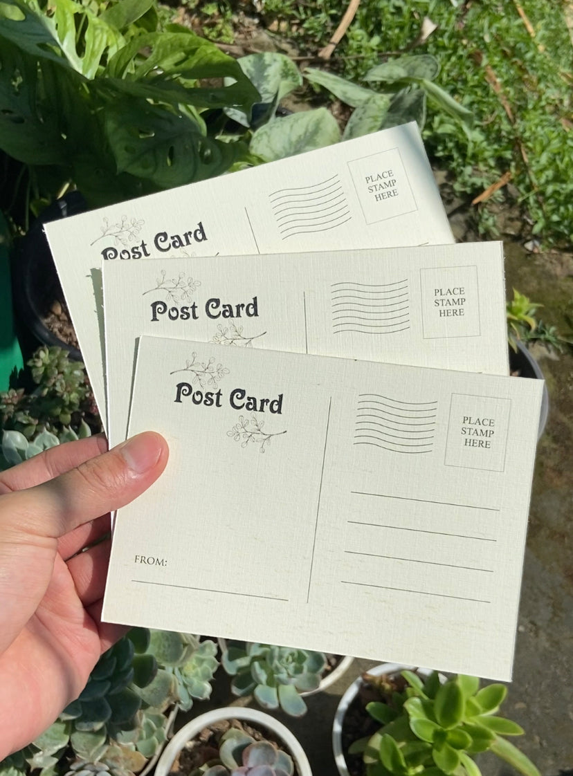 Ichiro hometown Cat Postcards