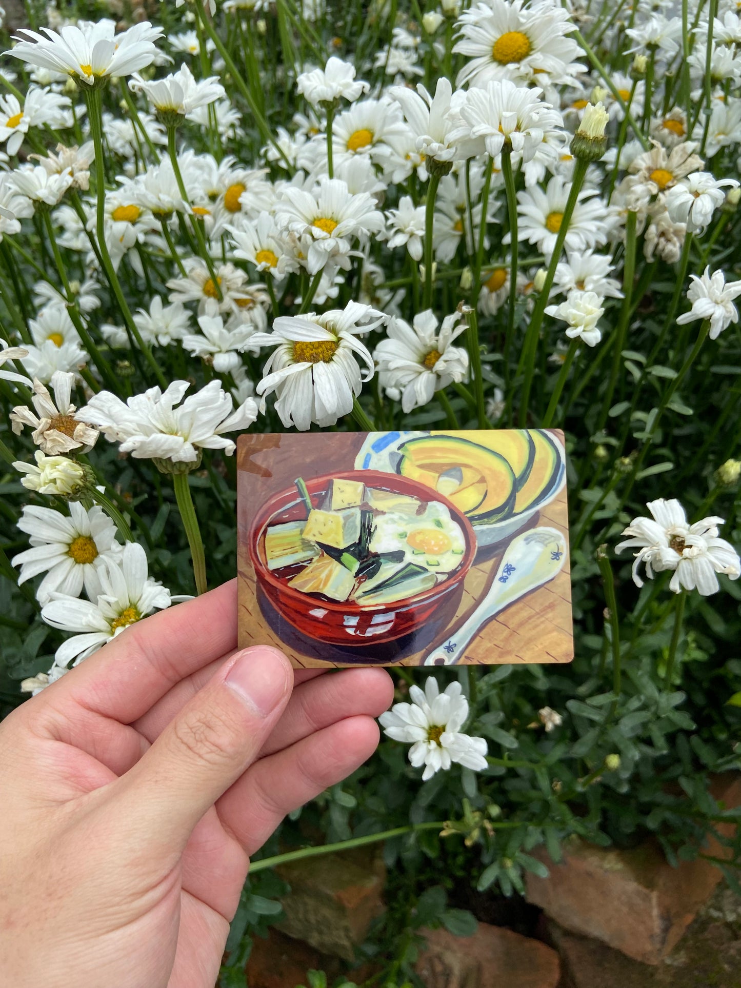 Bowl of tofu fridge magnets