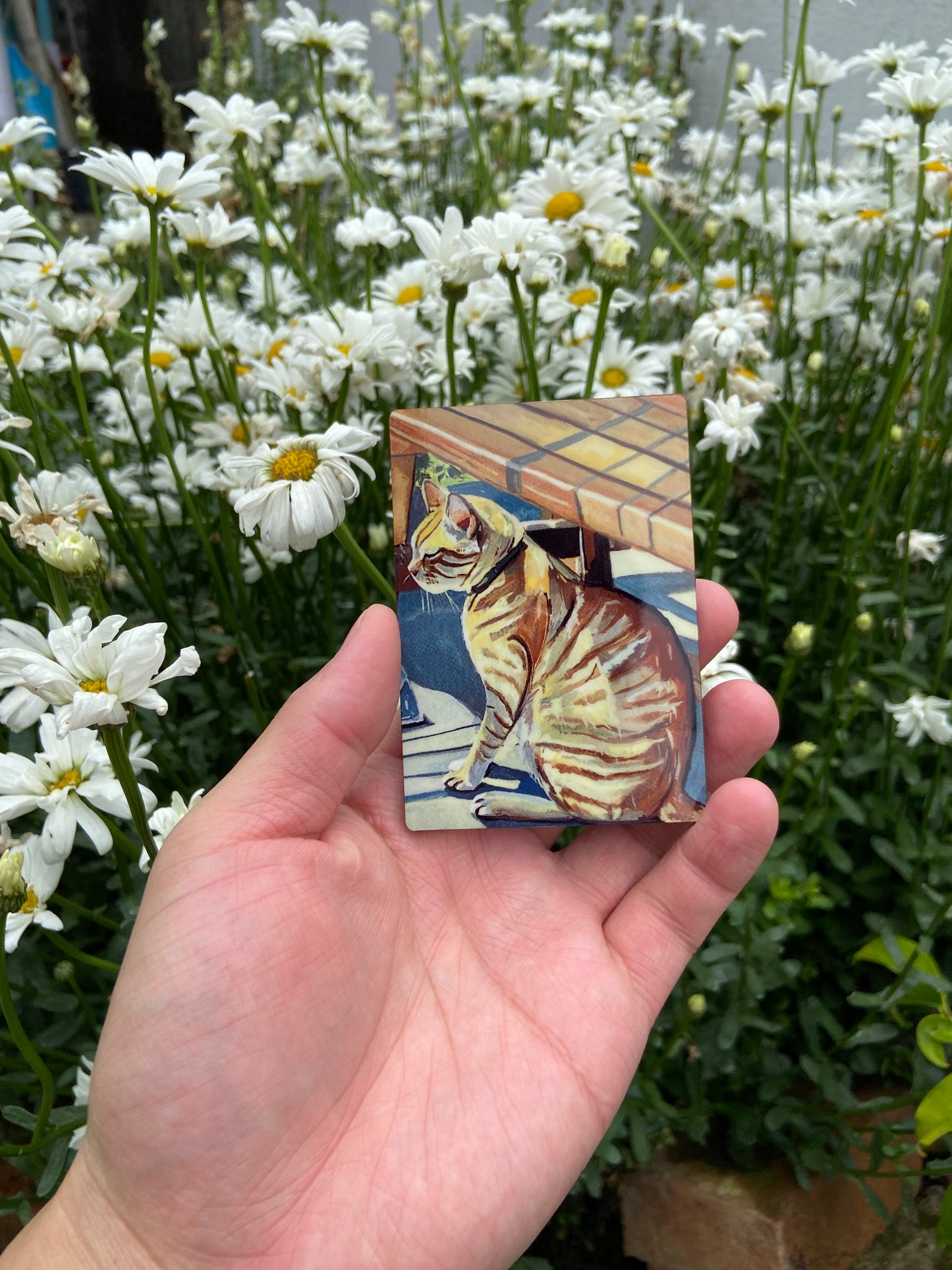 Theo Refrigerator magnets