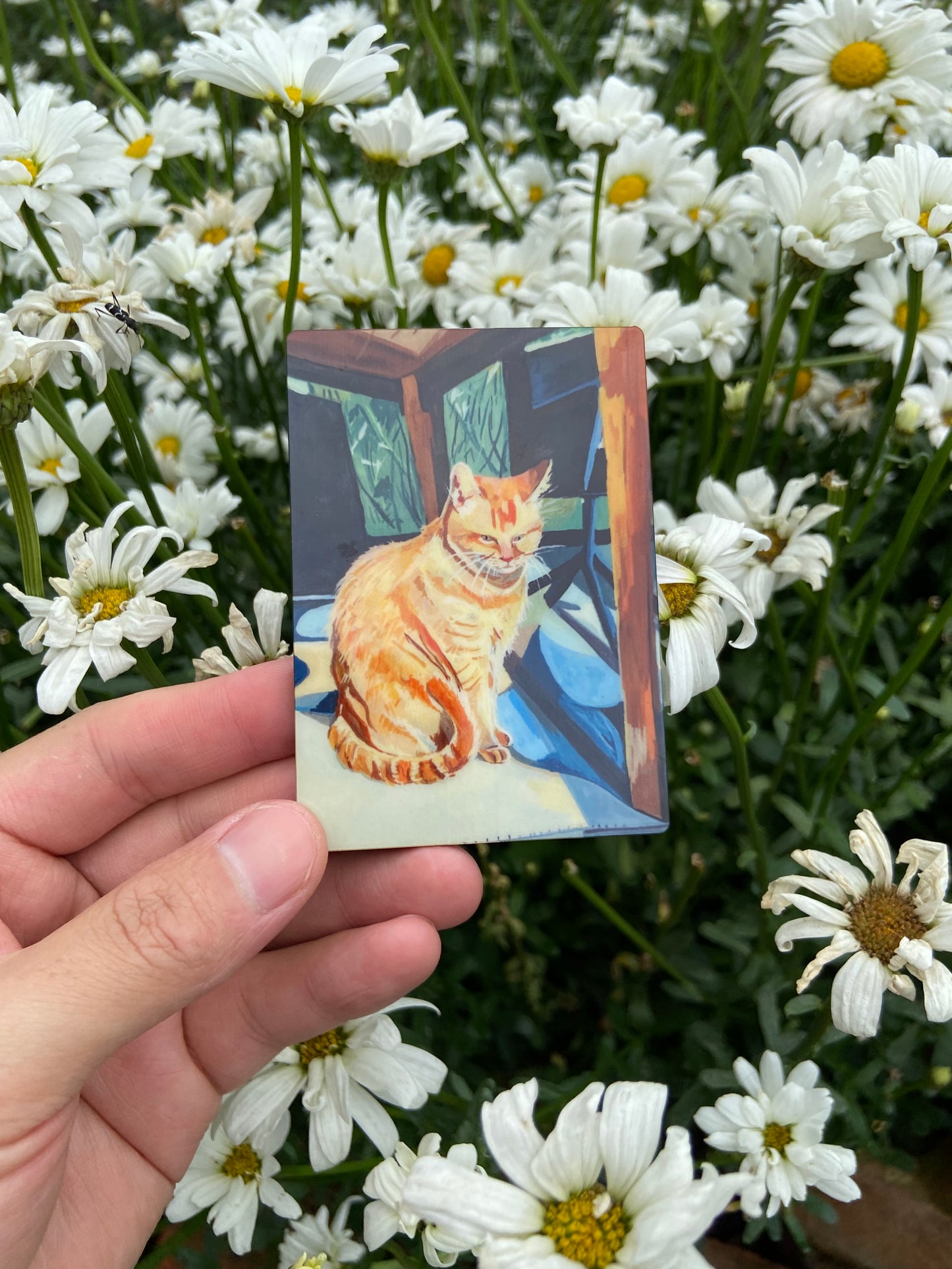 Biggie the cat fridge magnets