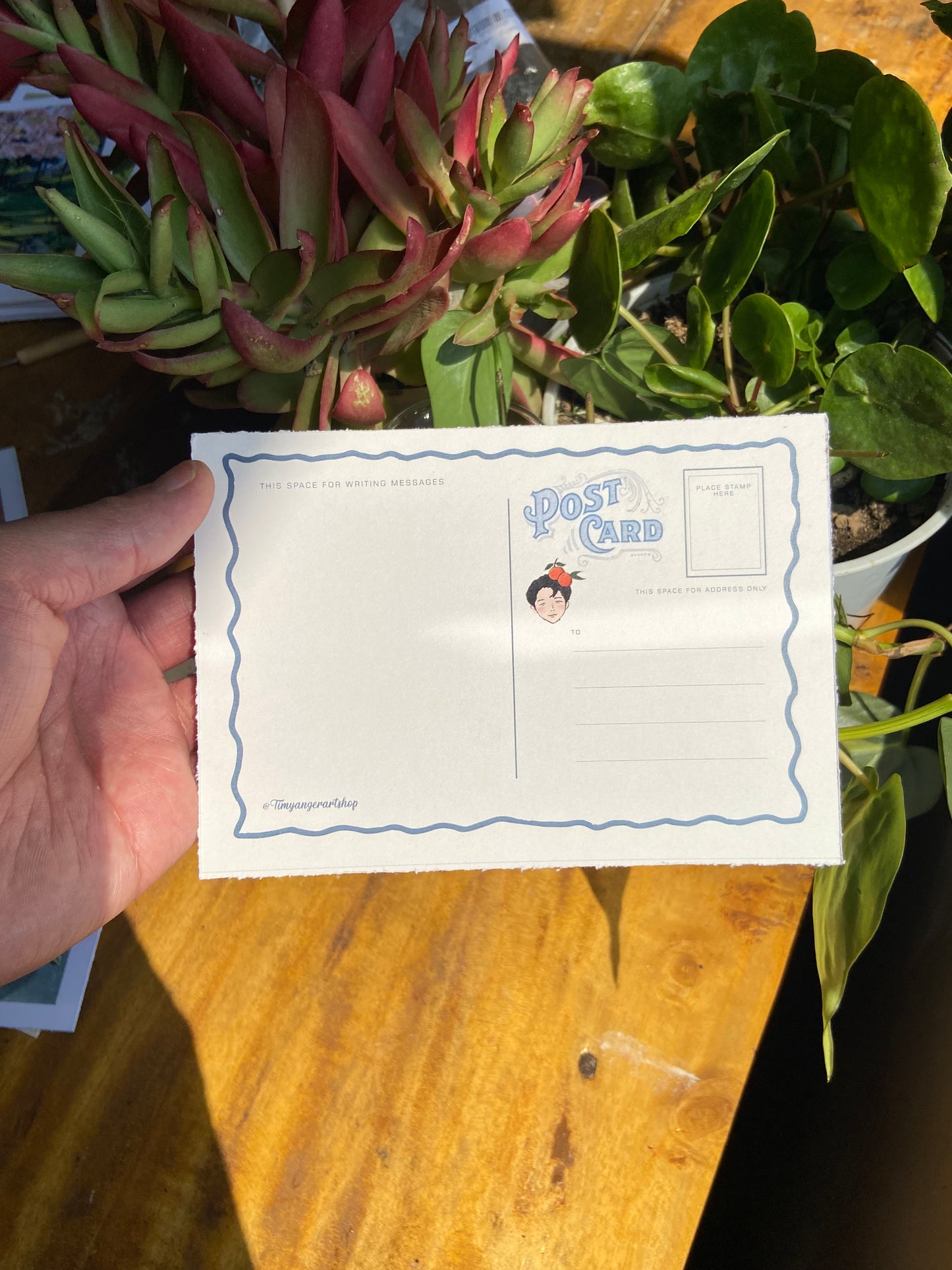 Theo the cat Postcards