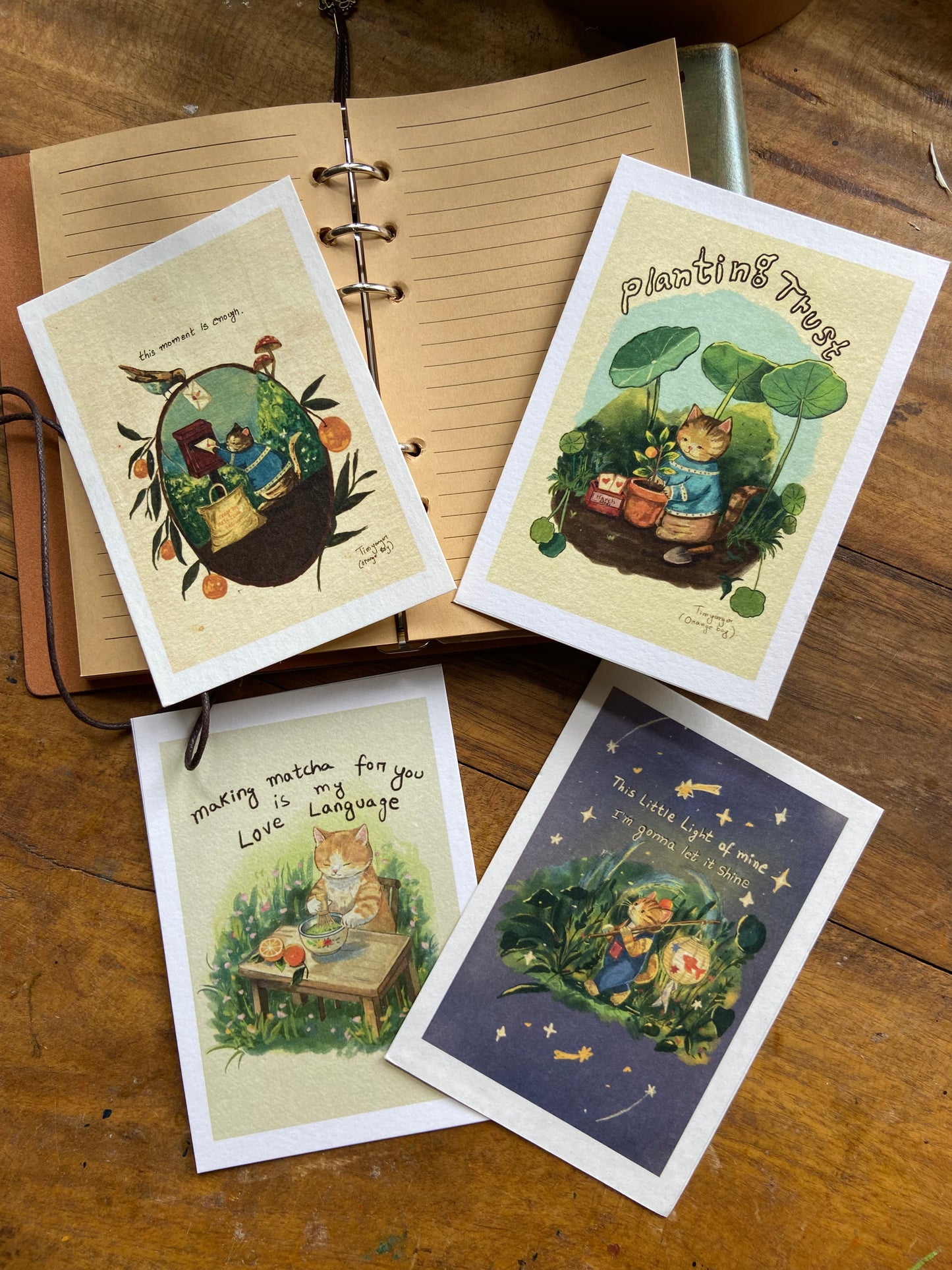 Lost Cat Postcard Collection