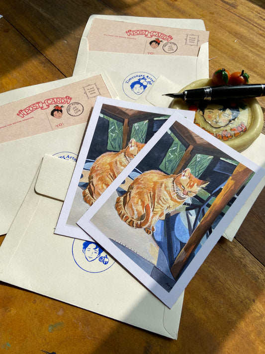 Biggie the ginger cat postcards
