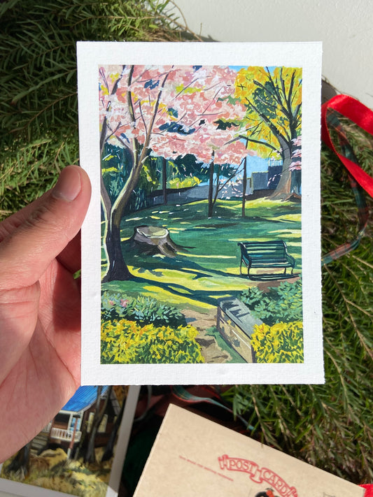 Cherry blossom, seasonal greetings postcards