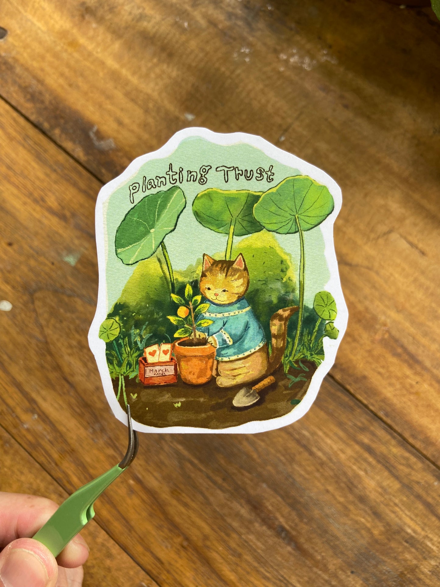Lost cat stickers set