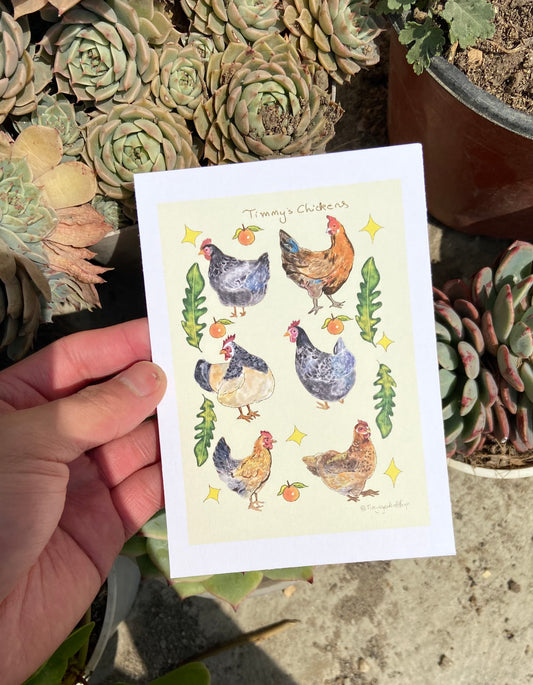 Timmy’s chickens postcards