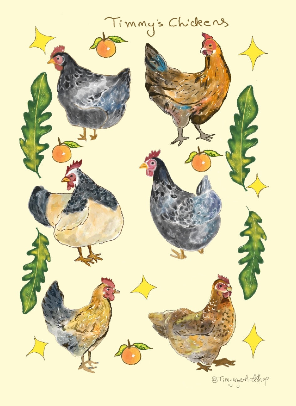 Timmy’s chickens postcards
