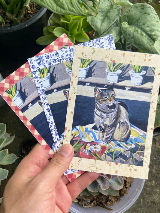 Oliver the cat Postcards