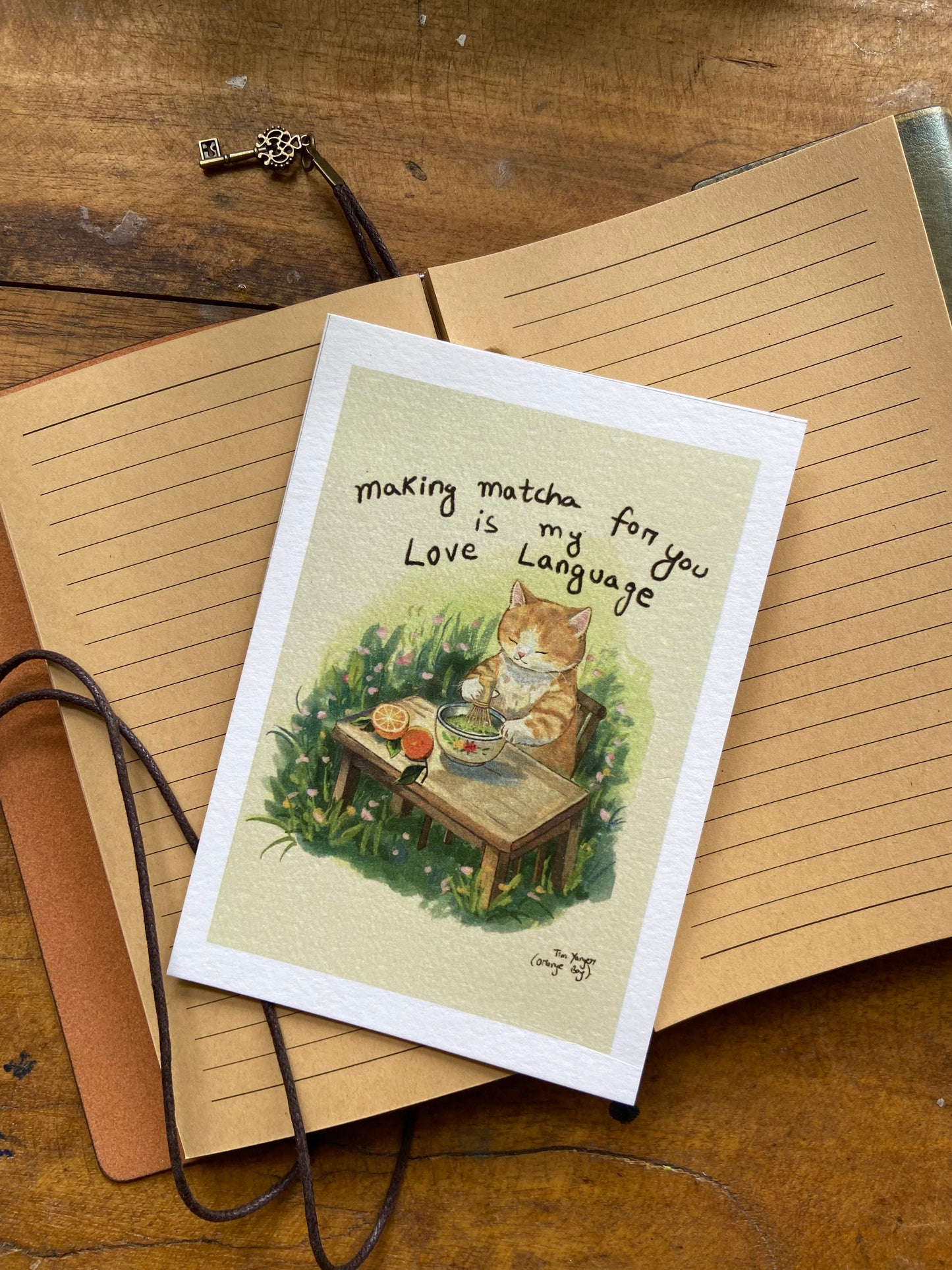 Lost Cat Postcard Collection