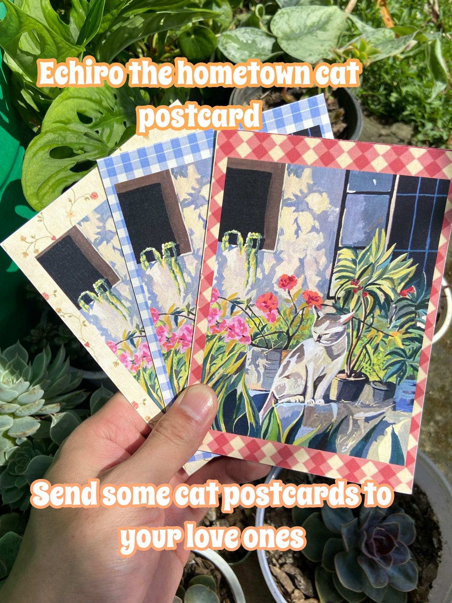 Ichiro hometown Cat Postcards