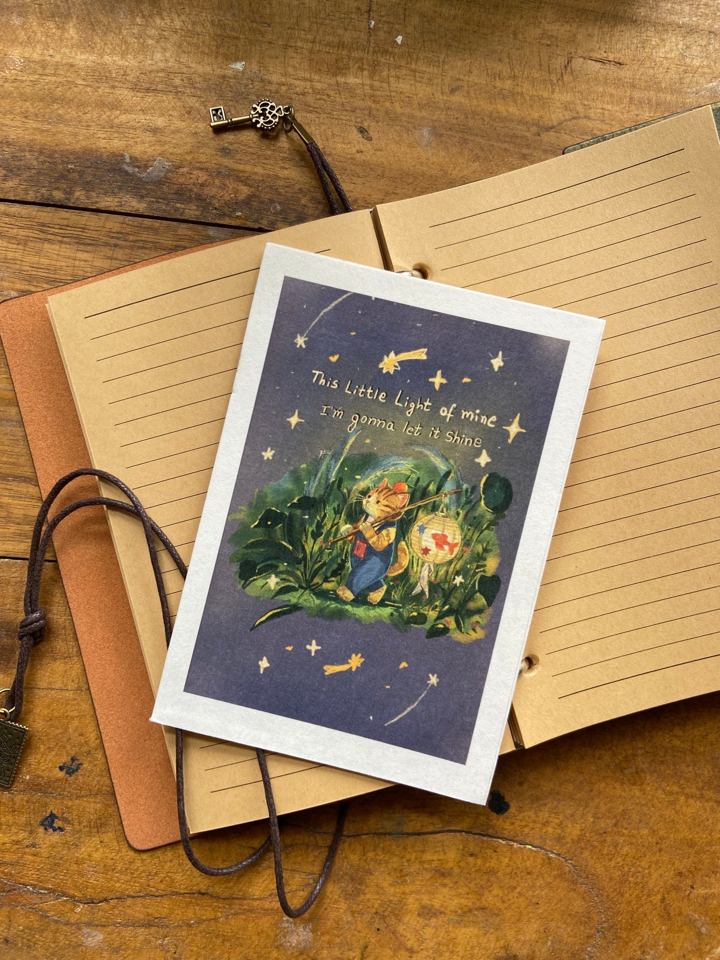 Lost Cat Postcard Collection