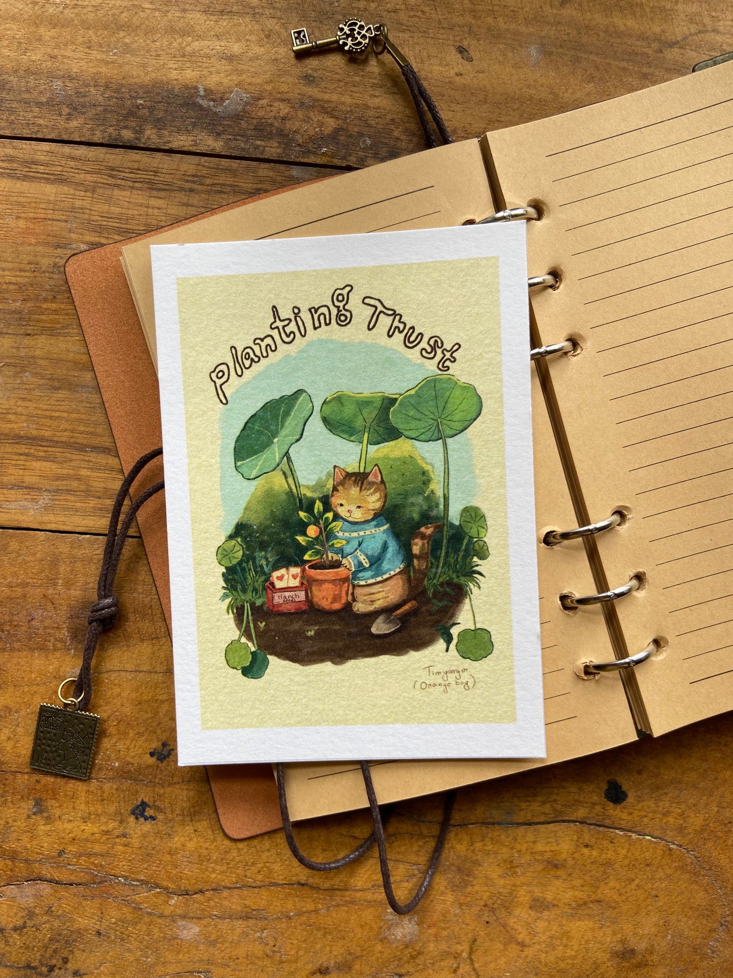 Lost Cat Postcard Collection