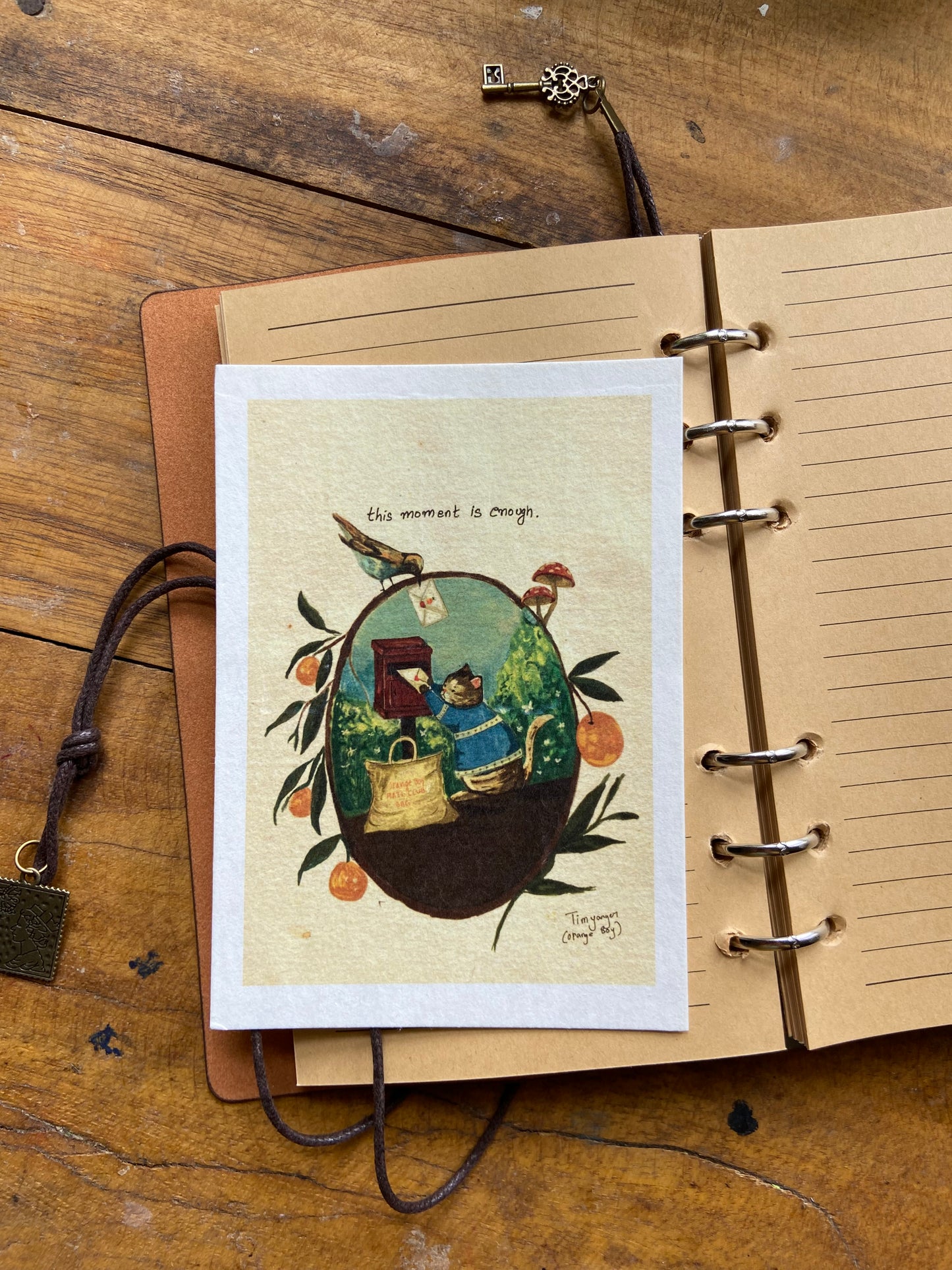 Lost Cat Postcard Collection