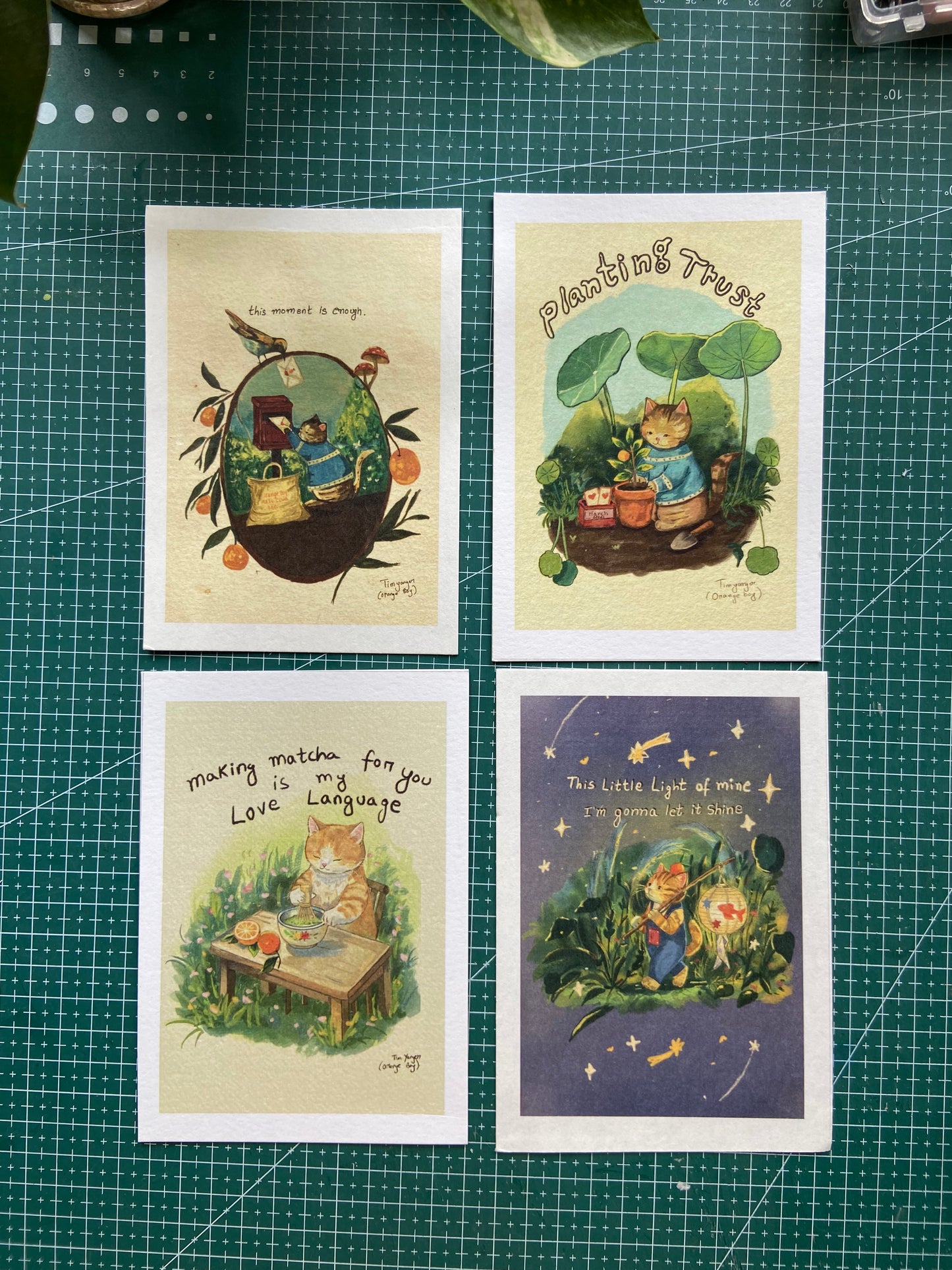Lost Cat Postcard Collection